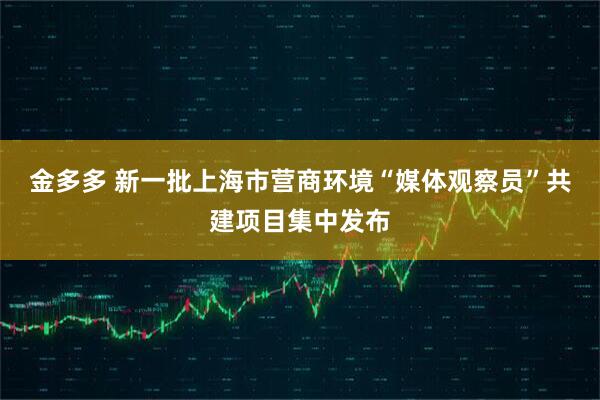 金多多 新一批上海市营商环境“媒体观察员”共建项目集中发布