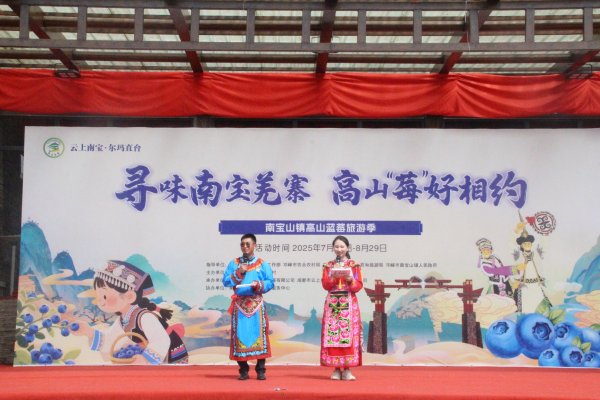 易资配 邛崃南宝山镇蓝莓旅游季启幕：以“莓”为媒，绘就乡村振兴新图景