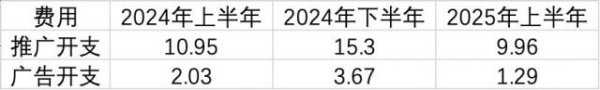 五八策略 折腾一年后负增长，蓝月亮做错了什么？