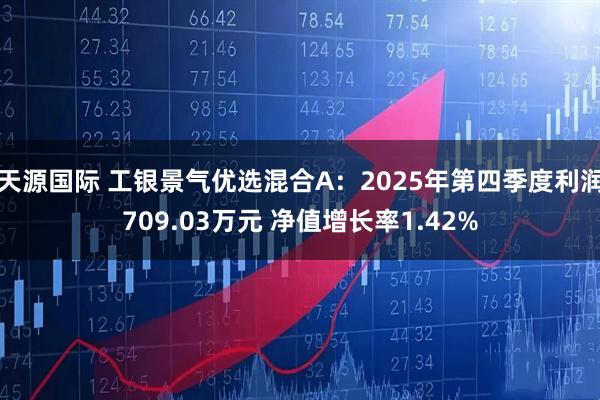 天源国际 工银景气优选混合A：2025年第四季度利润709.03万元 净值增长率1.42%